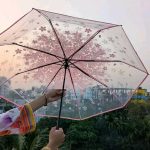 Transparent Umbrella - রোদ ও বৃষ্টির জন্য আকর্ষণীয় ৩-ফোল্ড ছাতা - Image 4